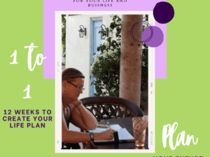 Business and Life Plan in 12 Weeks One-to-One With Angie Dobransky