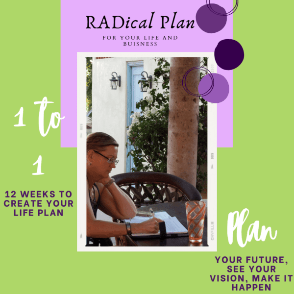 Business and Life Plan in 12 Weeks One-to-One With Angie Dobransky