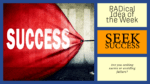Seek Success: Your Roadmap to Turning Failures into Success