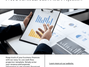 CashFlow Navigator Pro