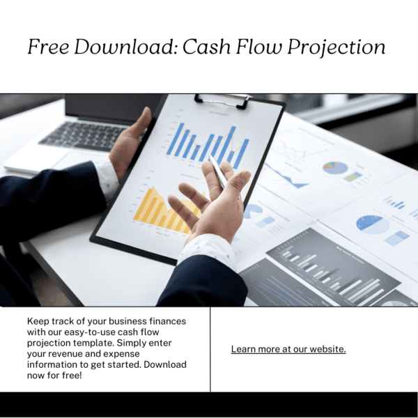 CashFlow Navigator Pro